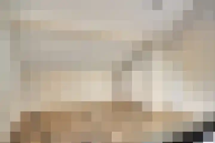 De Boogerd 29 Zuilichem thumbnail 32