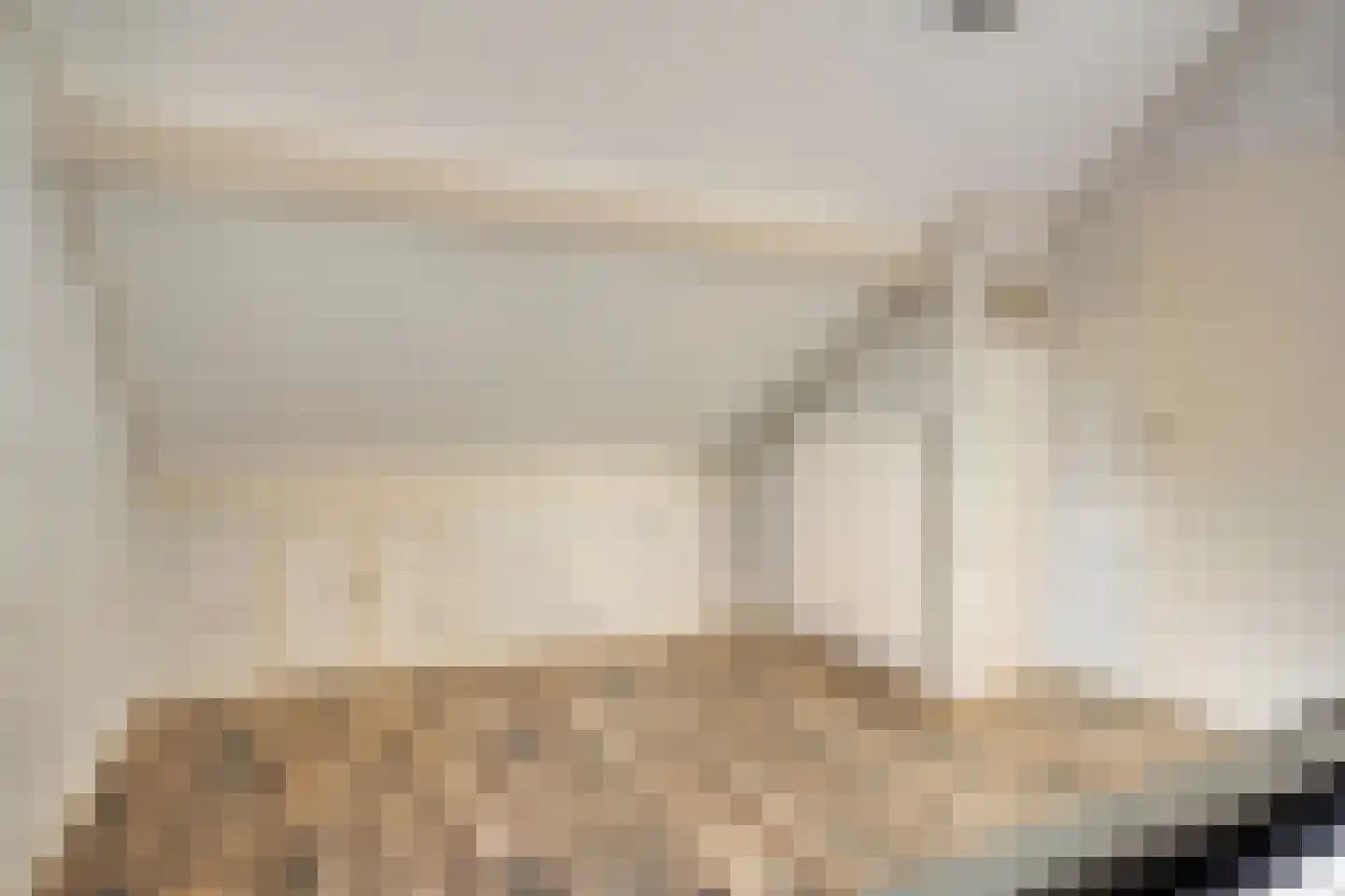 De Boogerd 29 Zuilichem thumbnail 32