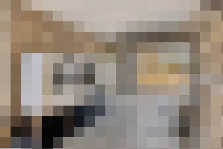 De Boogerd 29 Zuilichem thumbnail 33
