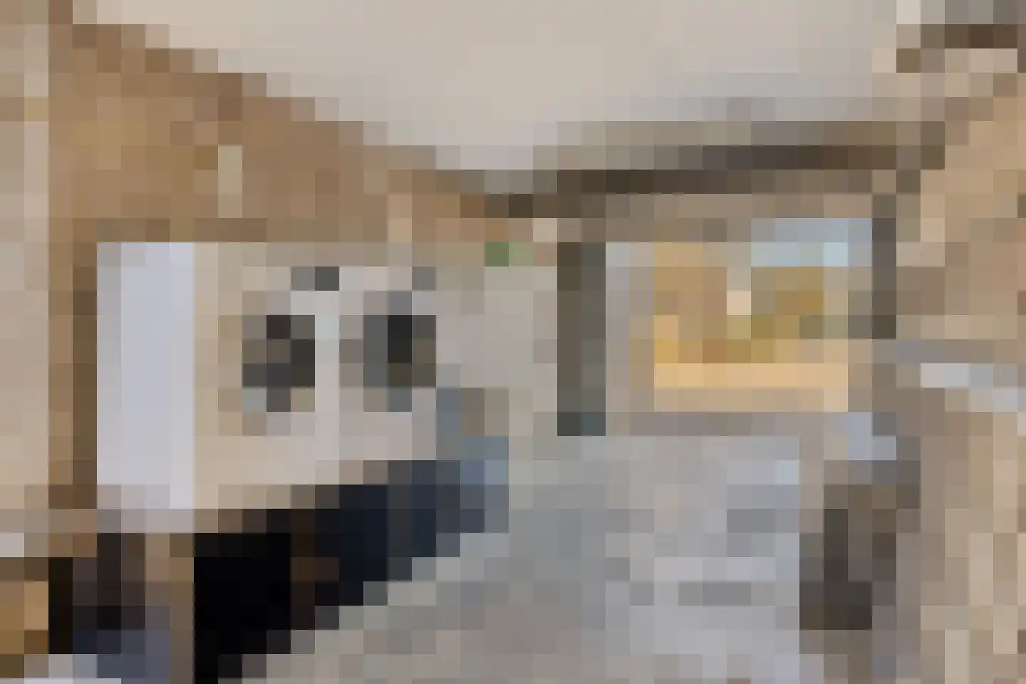 De Boogerd 29 Zuilichem thumbnail 33