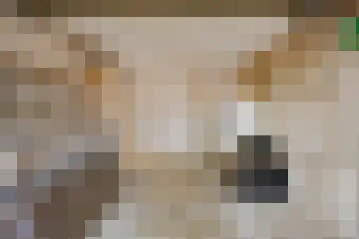 De Boogerd 29 Zuilichem thumbnail 34