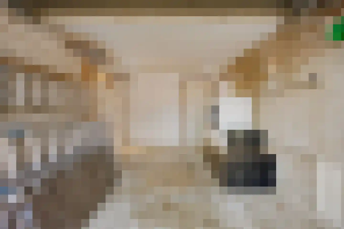 De Boogerd 29 Zuilichem thumbnail 34