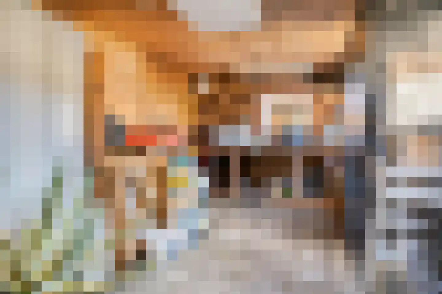 De Boogerd 29 Zuilichem thumbnail 35