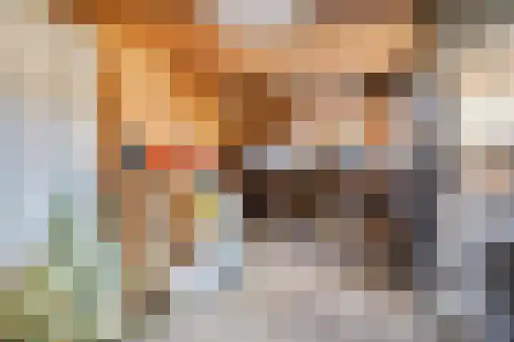 De Boogerd 29 Zuilichem thumbnail 35