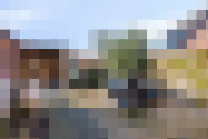 De Boogerd 29 Zuilichem thumbnail 37