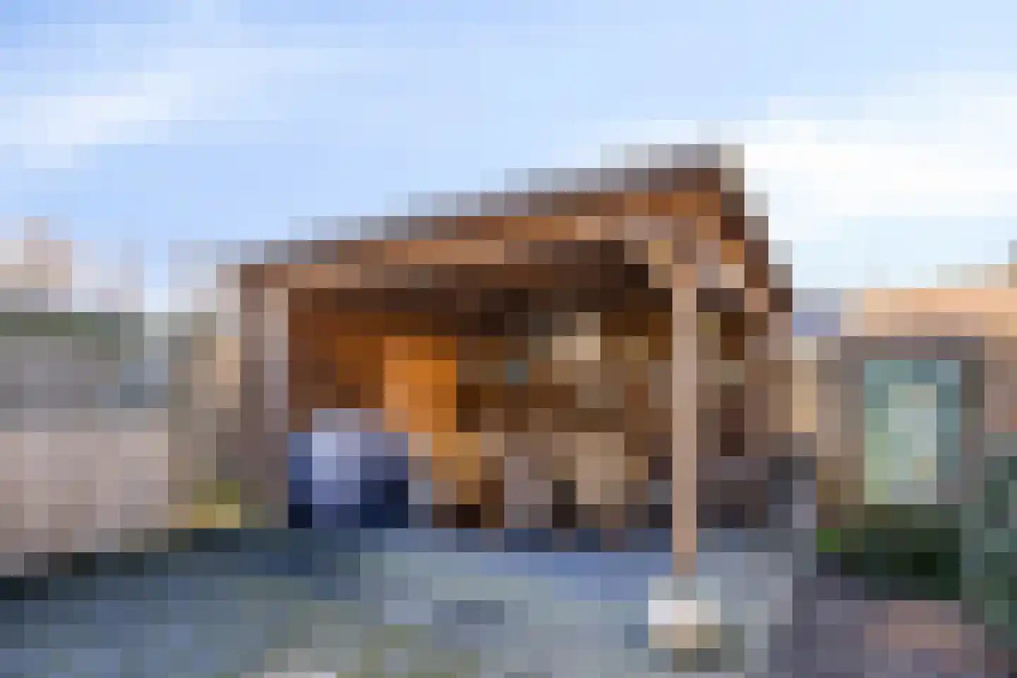 De Boogerd 29 Zuilichem thumbnail 38