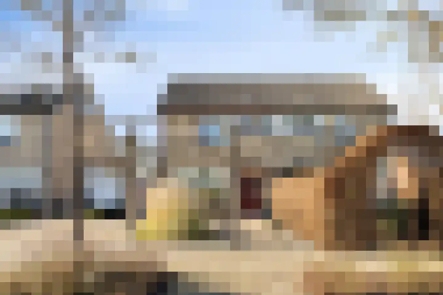 De Boogerd 29 Zuilichem thumbnail 4