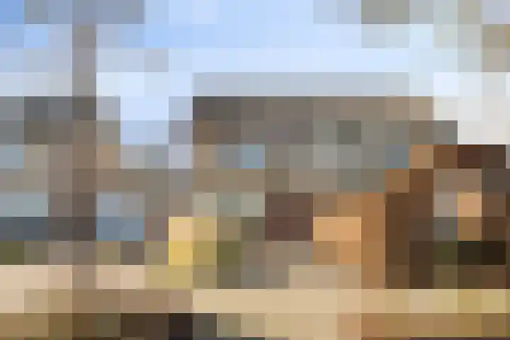 De Boogerd 29 Zuilichem thumbnail 4