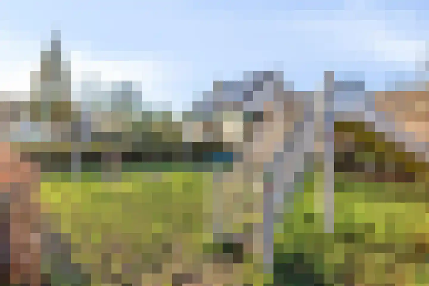 De Boogerd 29 Zuilichem thumbnail 40