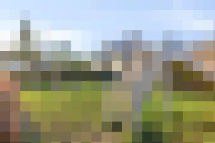 De Boogerd 29 Zuilichem thumbnail 40