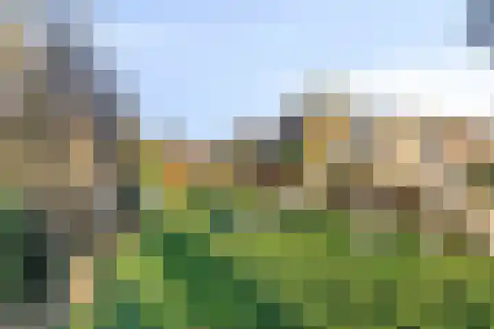 De Boogerd 29 Zuilichem thumbnail 41