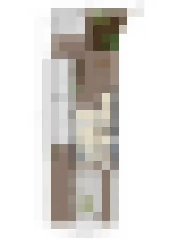 De Boogerd 29 Zuilichem thumbnail 46