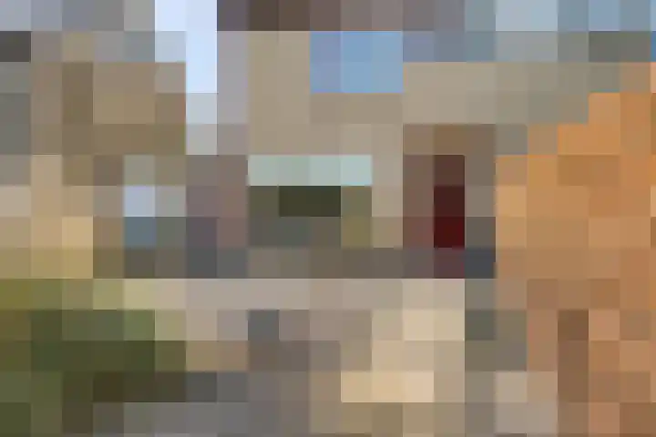 De Boogerd 29 Zuilichem thumbnail 6