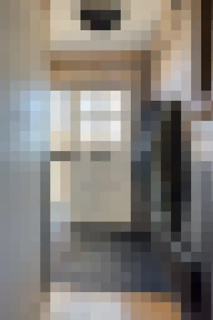 De Boogerd 29 Zuilichem thumbnail 7