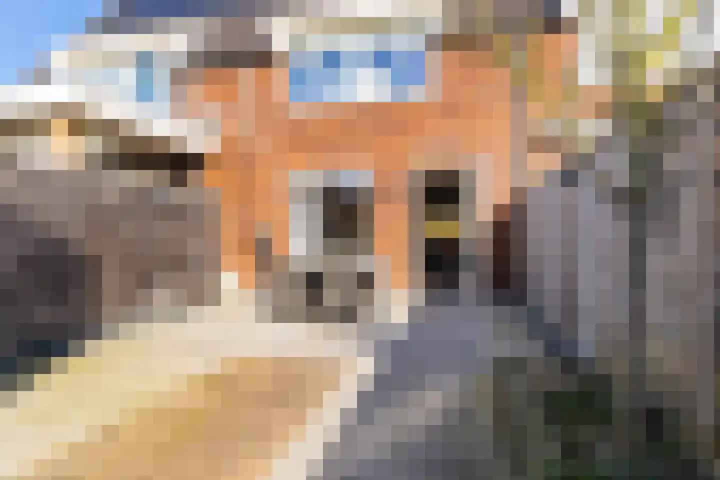 De Boomgaard 13 Nijkerk thumbnail 11