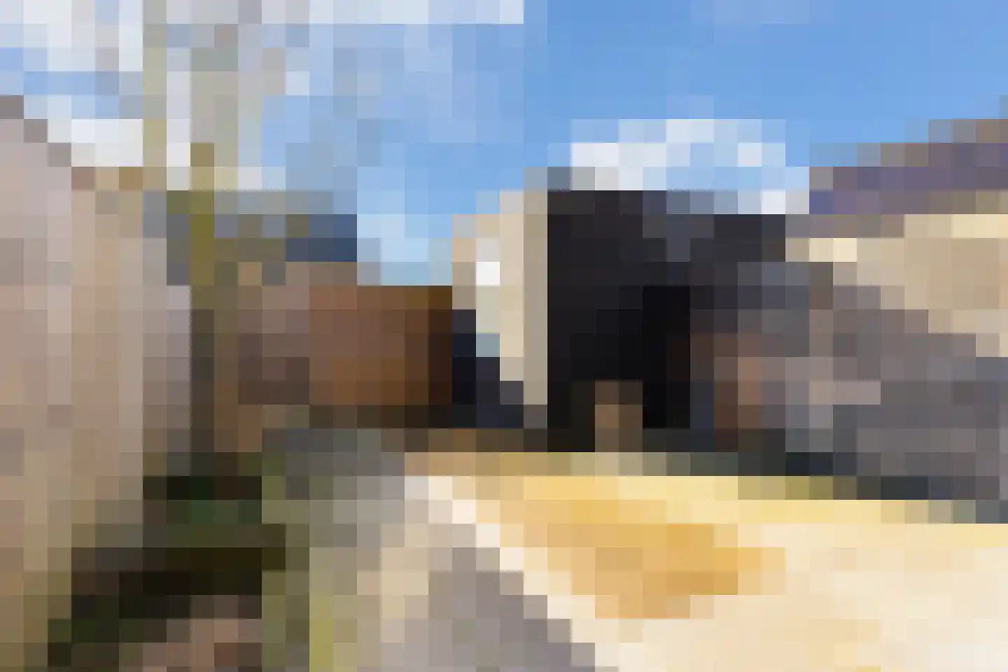 De Boomgaard 13 Nijkerk thumbnail 12