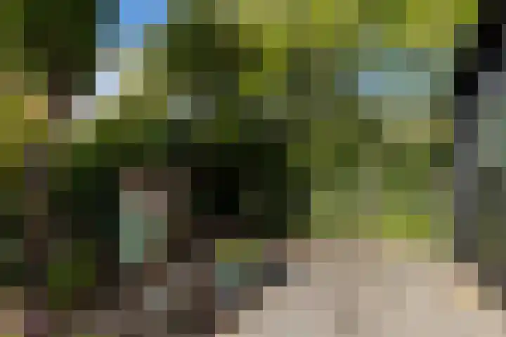 De Boomgaard 16 Oud-Alblas thumbnail 18