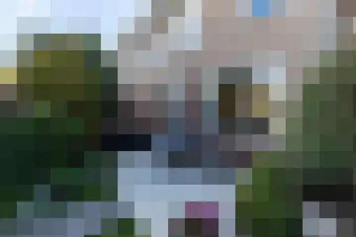 De Boomgaard 16 Oud-Alblas thumbnail 19
