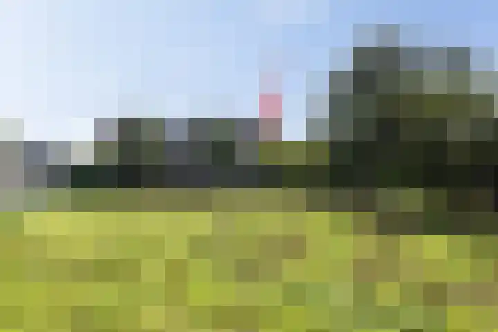 De Boomgaard 16 Oud-Alblas thumbnail 22