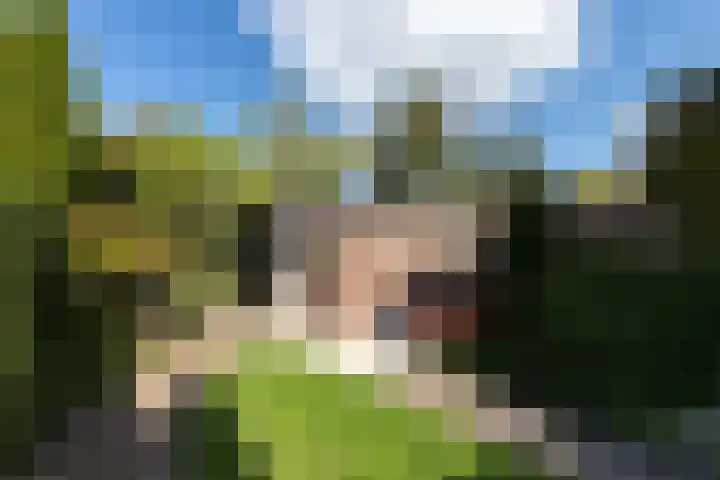 De Boomgaard 16 Oud-Alblas thumbnail 4