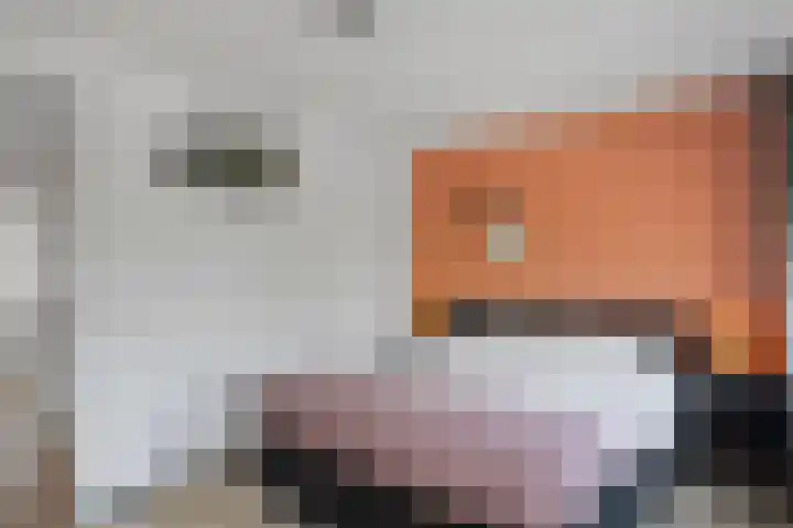 De Boomgaard 18 Schagen thumbnail 20