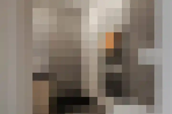 De Boomgaard 18 Schagen thumbnail 28