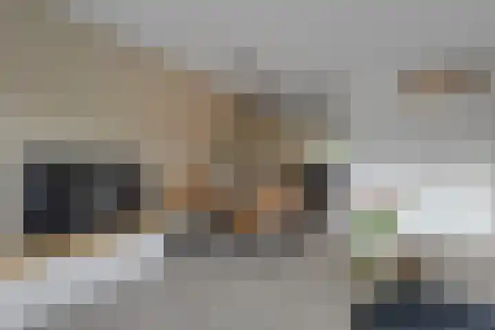 De Boomgaard 18 Schagen thumbnail 7