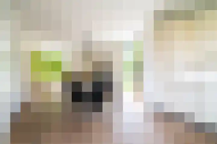 De Boomgaard 2 Leusden thumbnail 16