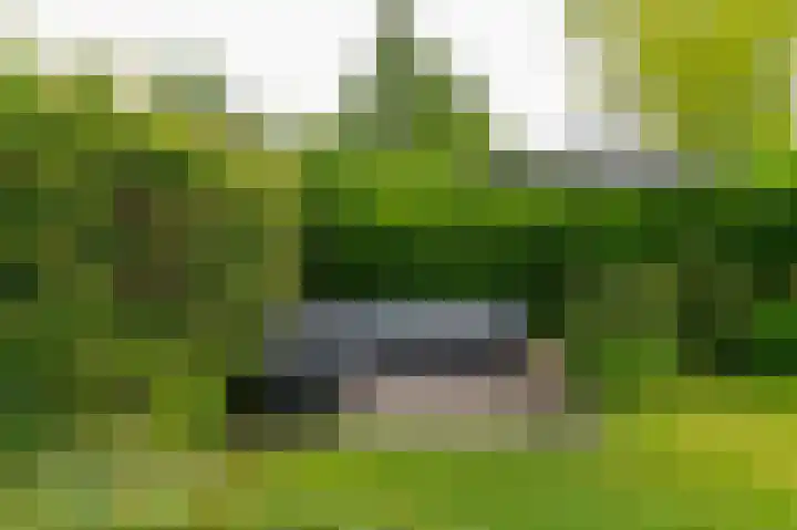 De Boomgaard 2 Leusden thumbnail 49