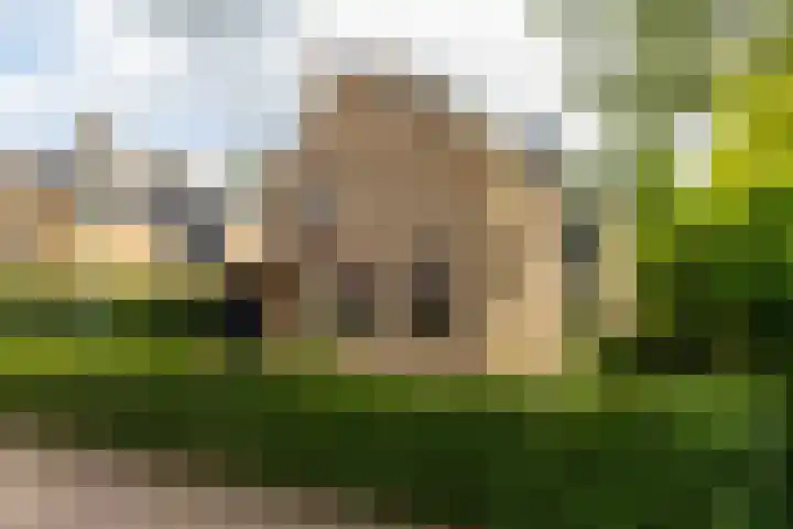 De Boomgaard 2 Leusden thumbnail 5