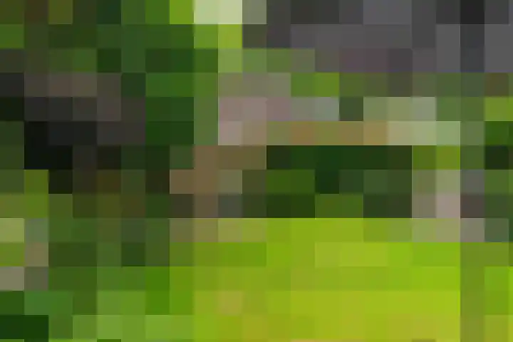 De Boomgaard 2 Leusden thumbnail 50