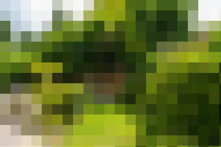 De Boomgaard 2 Leusden thumbnail 51