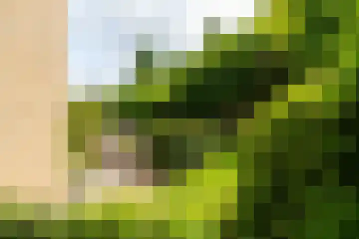 De Boomgaard 2 Leusden thumbnail 52
