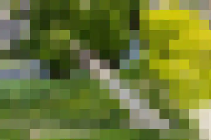 De Boomgaard 2 Leusden thumbnail 55