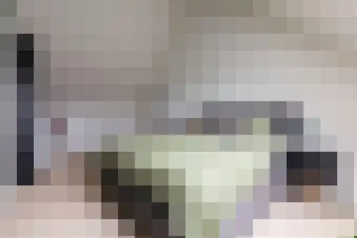 De Boomgaard 39 Nijkerk thumbnail 31