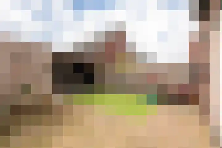 De Boomgaard 39 Nijkerk thumbnail 33