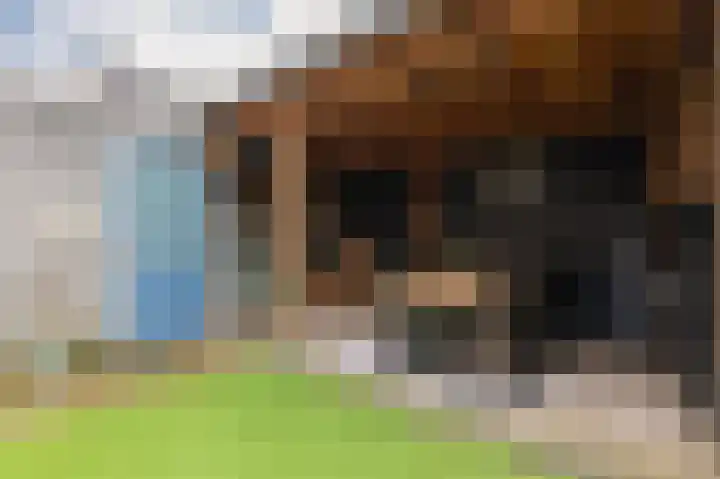 De Boomgaard 39 Nijkerk thumbnail 35