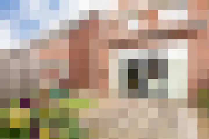 De Boomgaard 39 Nijkerk thumbnail 37