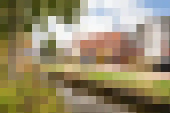 De Boomgaard 39 Nijkerk thumbnail 39