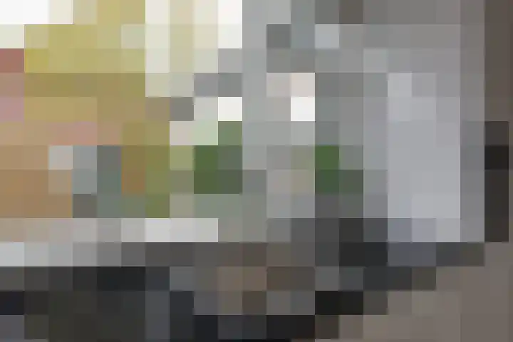 De Boomgaard 46 Assen thumbnail 12