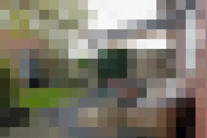 De Boomgaard 46 Assen thumbnail 38