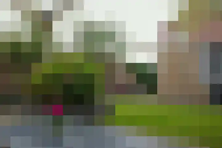 De Boomgaard 46 Assen thumbnail 43
