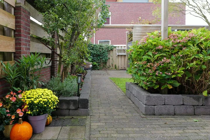 De Boomgaard 46 Assen thumbnail 44