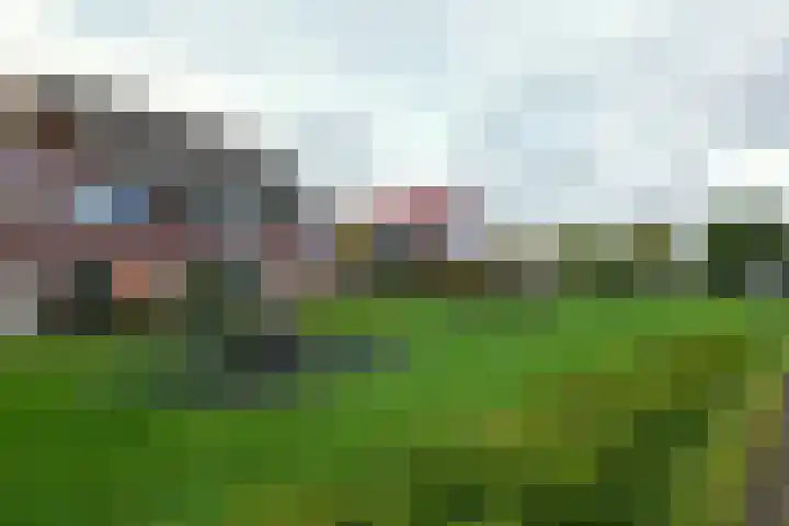 De Boomgaard 46 Assen thumbnail 49