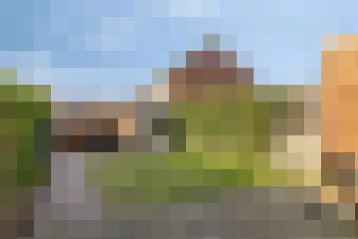 De Boomgaard 50 Assen thumbnail 28