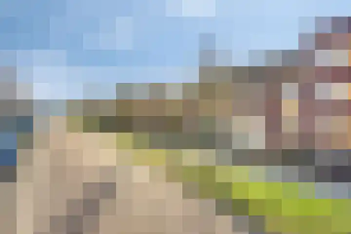 De Boomgaard 50 Assen thumbnail 6
