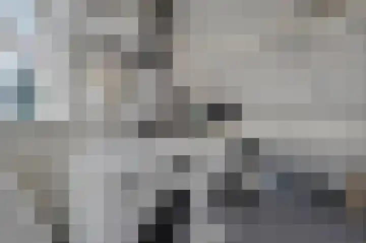 de Boomgaard 62 Koudekerk aan den Rijn thumbnail 32