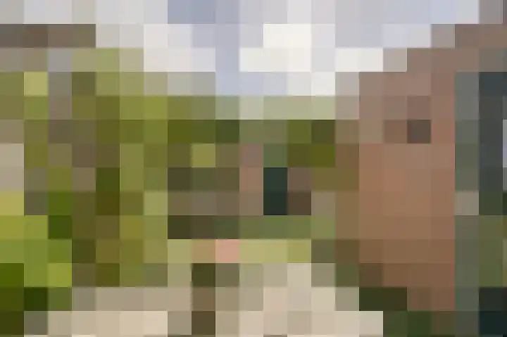 de Boomgaard 62 Koudekerk aan den Rijn thumbnail 35