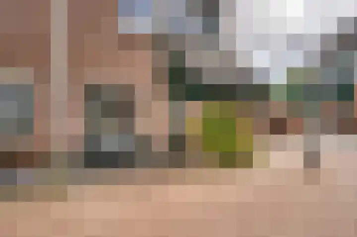 de Boomgaard 62 Koudekerk aan den Rijn thumbnail 5