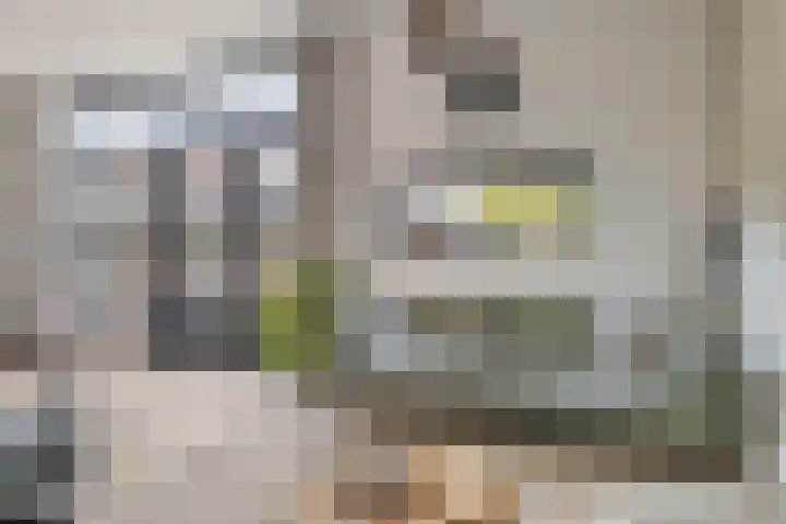 De Boomgaard 7 Zutphen thumbnail 13